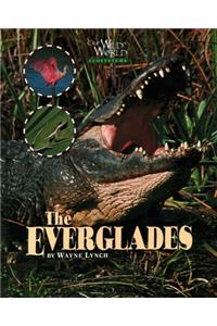 Everglades