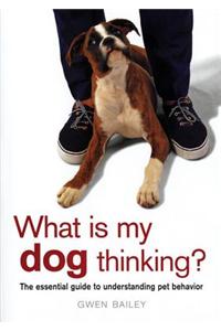 What Is My Dog Thinking?