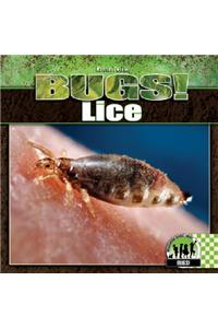 Lice