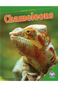 Chameleons