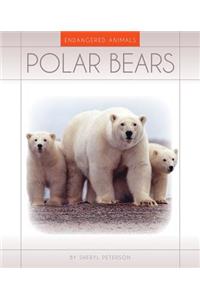Polar Bears