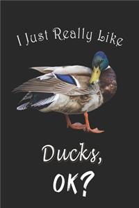 I Just Really like Ducks, OK ? Journal
