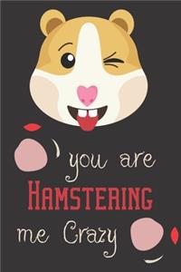 you are hamstering me crazy