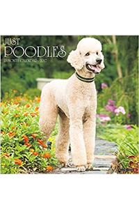 Just Poodles 2017 Wall Calendar