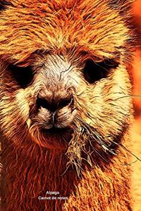 Alpaga Carnet de notes