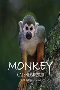 Monkey Calendar 2020