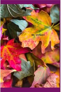 Autumn Grid Journal