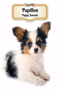 2020 Papillon Puppy Journal