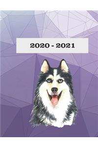 2020-2021