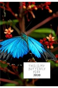 This Is My Butterfly Year