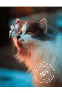 For the love of cats - Cuteness overload - Trendy Design Journal - 8.5
