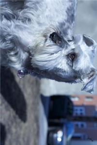 Schnauzer Dog Looking Back Journal