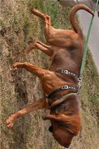 Liver and Tan Bloodhound Journal