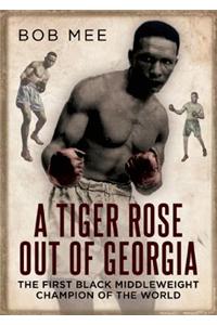 Tiger Rose Out of Georgia