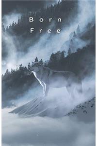 Born Free