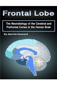 Frontal Lobe: The Neurobiology of the Cerebral and Prefrontal Cortex in the Human Brain