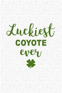 Luckiest Coyote Ever