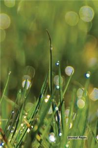 Journal Pages - Dreamy Grass(Unruled)
