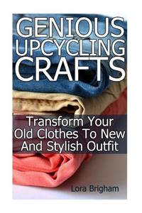 Genious Upcycling Crafts