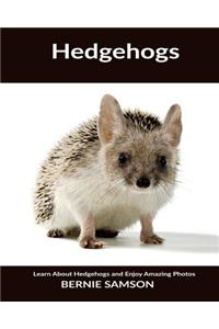 Hedgehogs: Learn about Hedgehogs and Enjoy Amazing Photos