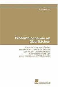 Proteinbiochemie an Oberflächen