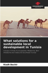 What solutions for a sustainable local development in Tunisia