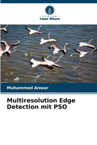 Multiresolution Edge Detection mit PSO