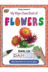 My Wipe-Clean Book Of Flowers
