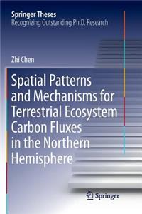 Spatial Patterns and Mechanisms for Terrestrial Ecosystem Carbon Fluxes in the Northern Hemisphere