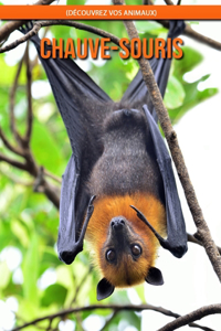 Chauve-Souris (Découvrez Vos Animaux)
