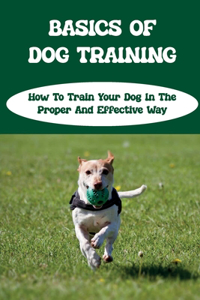 Basics Of Dog Training