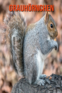 Grauhörnchen