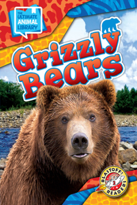 Grizzly Bears