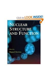 Nuclear Structure And Function