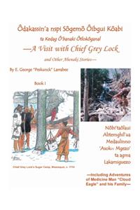 Visit with Chief Grey Lock and Other Abenaki Stories, Book 1