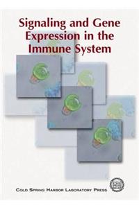 Signaling & Gene Expression in the Immune System
