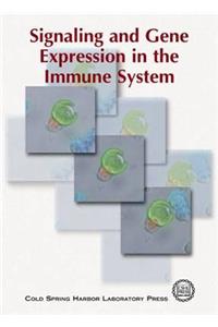 Signaling and Gene Expression in the Immune System