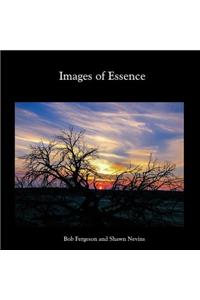 Images of Essence