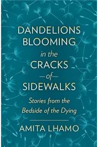 Dandelions Blooming in the Cracks of Sidewalks