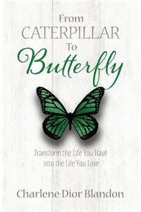 From Caterpillar to Butterfly
