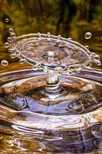Splash