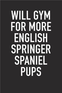 Will Gym for More English Springer Spaniel Pups