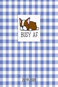 Busy AF 2019-2020
