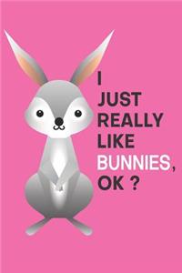I Just Really Like Bunnies, OK?