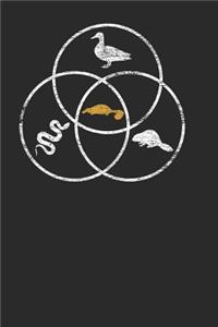 Platypus Circle