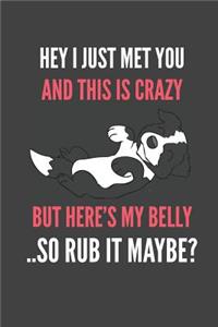 Hey I Just Met You And This Is Crazy But Here's My Belly ..So Rub It Maybe?