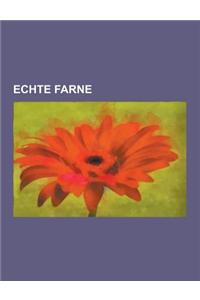 Echte Farne