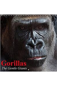 Gorillas * the Gentle Giants 2017