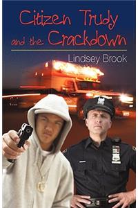 Citizen Trudy and the Crackdown