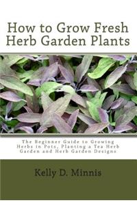 How to Grow Fresh Herb Garden Plants